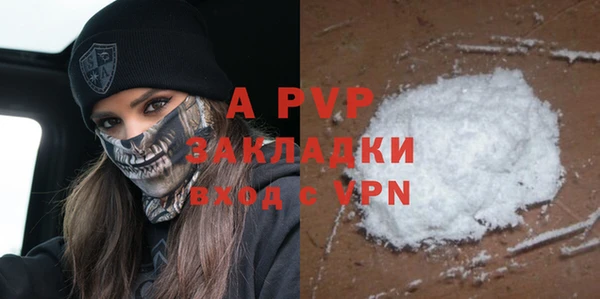 индика Гусь-Хрустальный