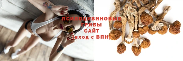 jwh Беломорск