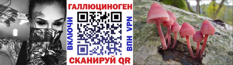 Псилоцибиновые грибы прущие грибы  Лыткарино 