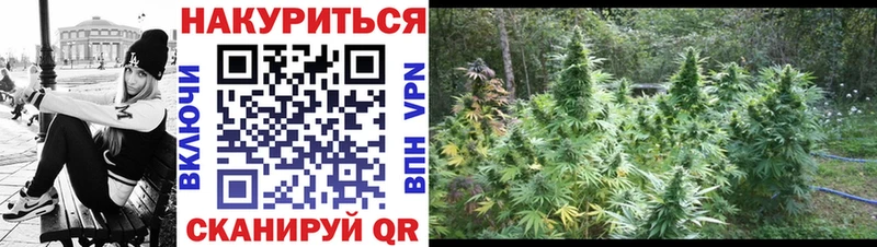 МАРИХУАНА White Widow  Лыткарино 